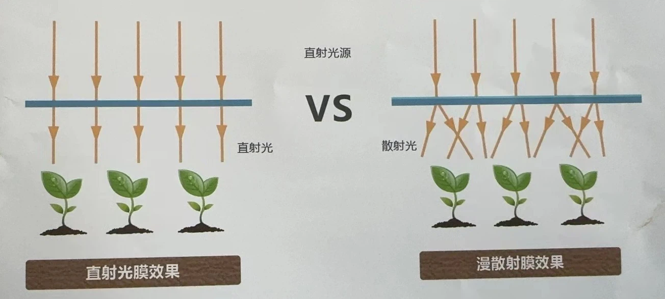 202409091007111 202409091007111